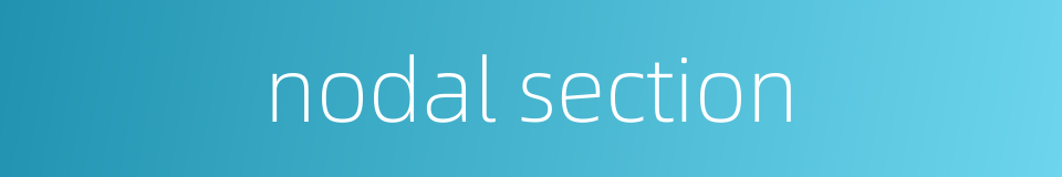 nodal section的同义词