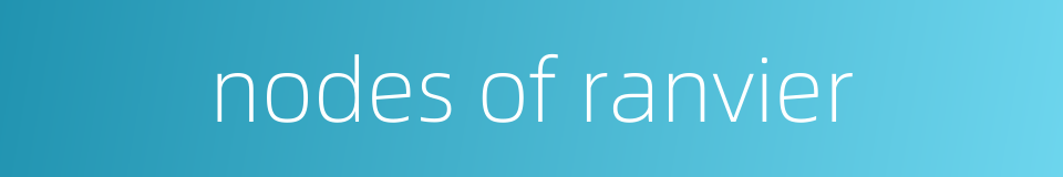 nodes of ranvier的同义词