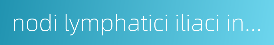 nodi lymphatici iliaci interni的同义词