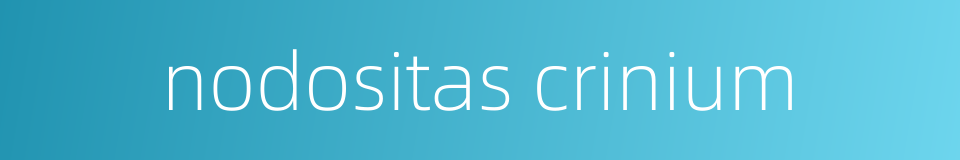 nodositas crinium的同义词