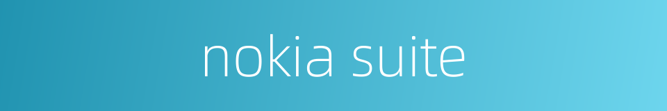 nokia suite的同义词