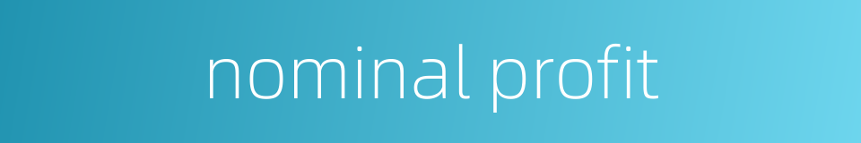 nominal profit的同义词