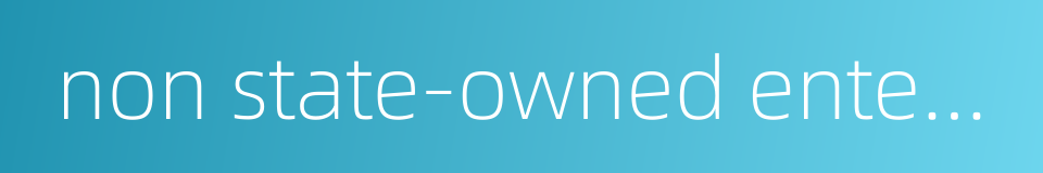 non state-owned enterprises的同义词