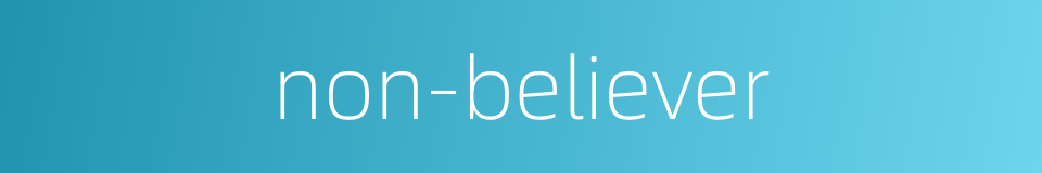non-believer的同义词
