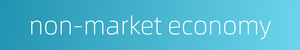 non-market economy的同义词