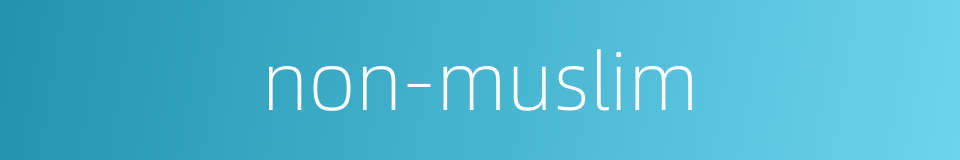 non-muslim的同义词