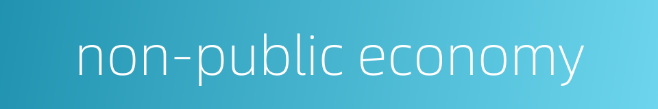 non-public economy的同义词