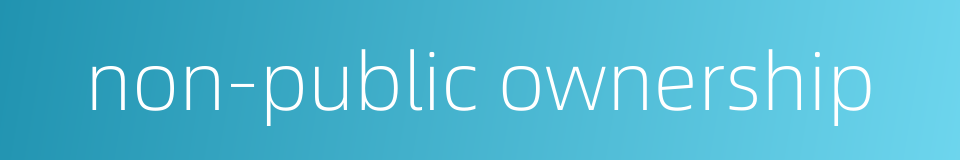 non-public ownership的同义词