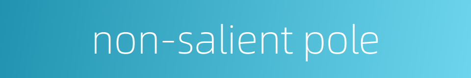 non-salient pole的同义词