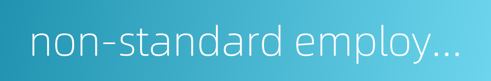 non-standard employment的同义词