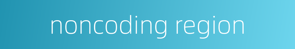 noncoding region的同义词