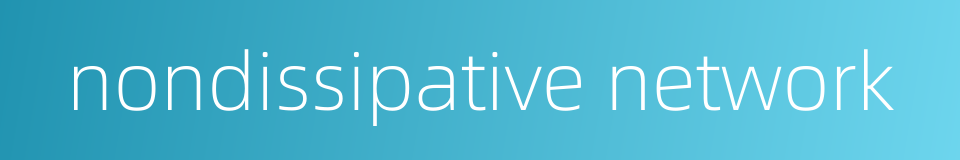 nondissipative network的同义词