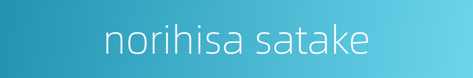 norihisa satake的同义词