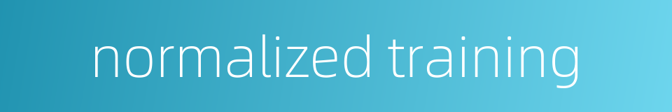 normalized training的同义词