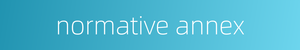 normative annex的同义词