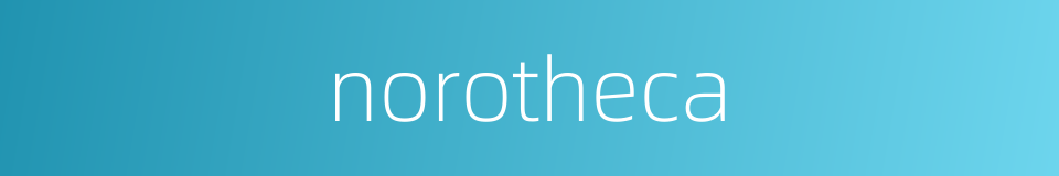 norotheca的同义词