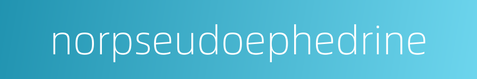 norpseudoephedrine的同义词
