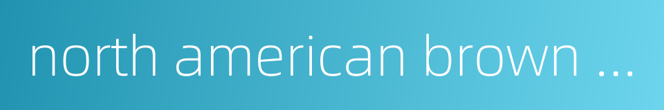 north american brown bear的同义词