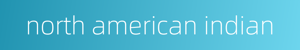north american indian的同义词