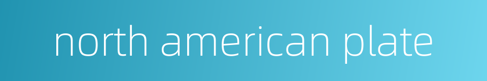 north american plate的同义词