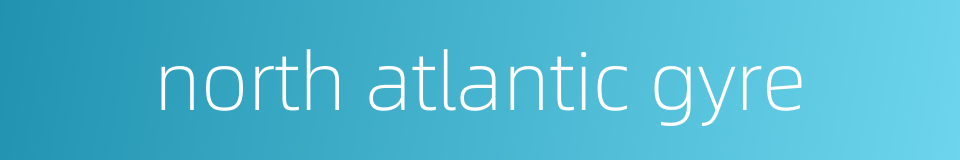 north atlantic gyre的同义词
