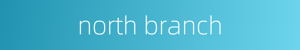 north branch的同义词