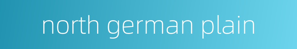 north german plain的同义词