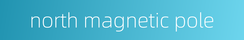 north magnetic pole的同义词