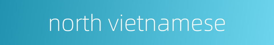 north vietnamese的同义词