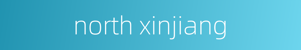 north xinjiang的同义词