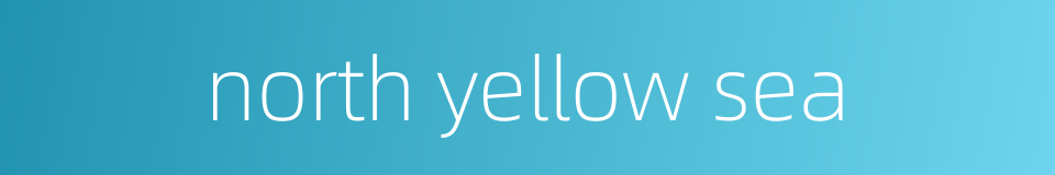 north yellow sea的同义词