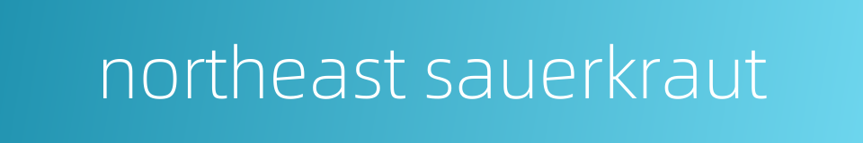 northeast sauerkraut的同义词