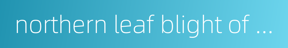 northern leaf blight of corn的同义词