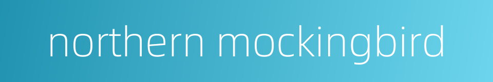 northern mockingbird的同义词