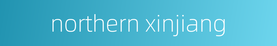 northern xinjiang的同义词