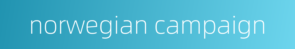 norwegian campaign的同义词