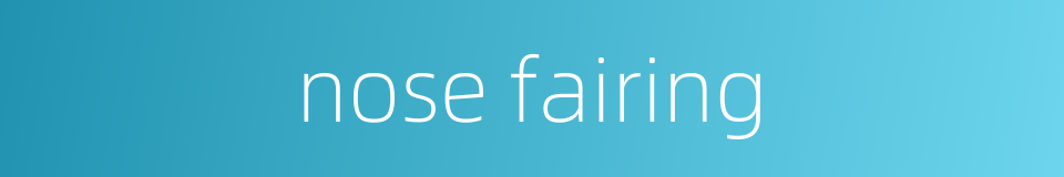 nose fairing的同义词