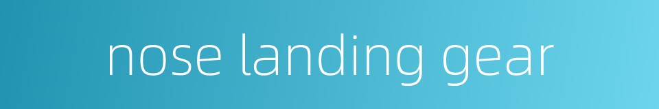 nose landing gear的同义词