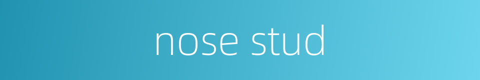 nose stud的同义词