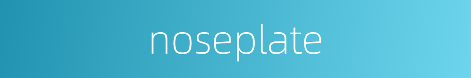 noseplate的同义词
