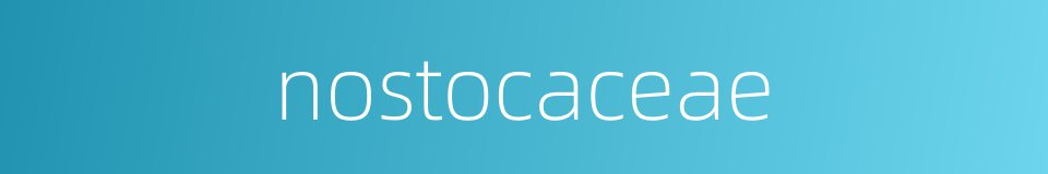 nostocaceae的同义词