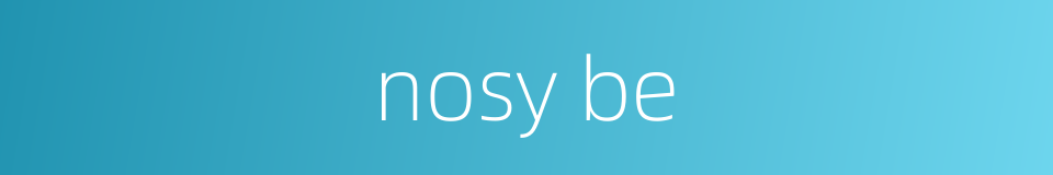 nosy be的同义词