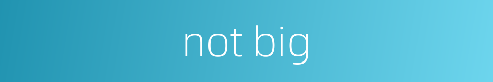 not big的同义词