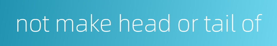 not make head or tail of的同义词