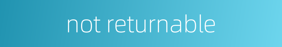 not returnable的同义词