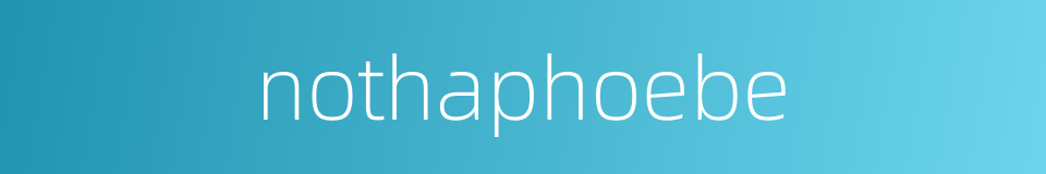 nothaphoebe的同义词