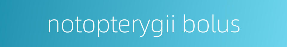 notopterygii bolus的同义词