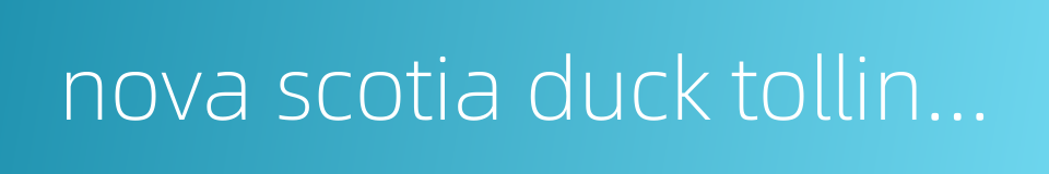 nova scotia duck tolling retriever的同义词