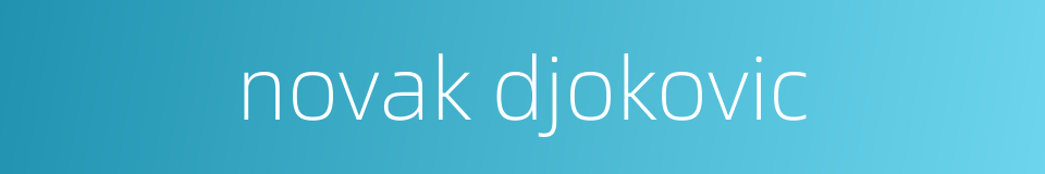 novak djokovic的同义词