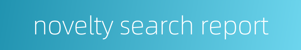 novelty search report的同义词